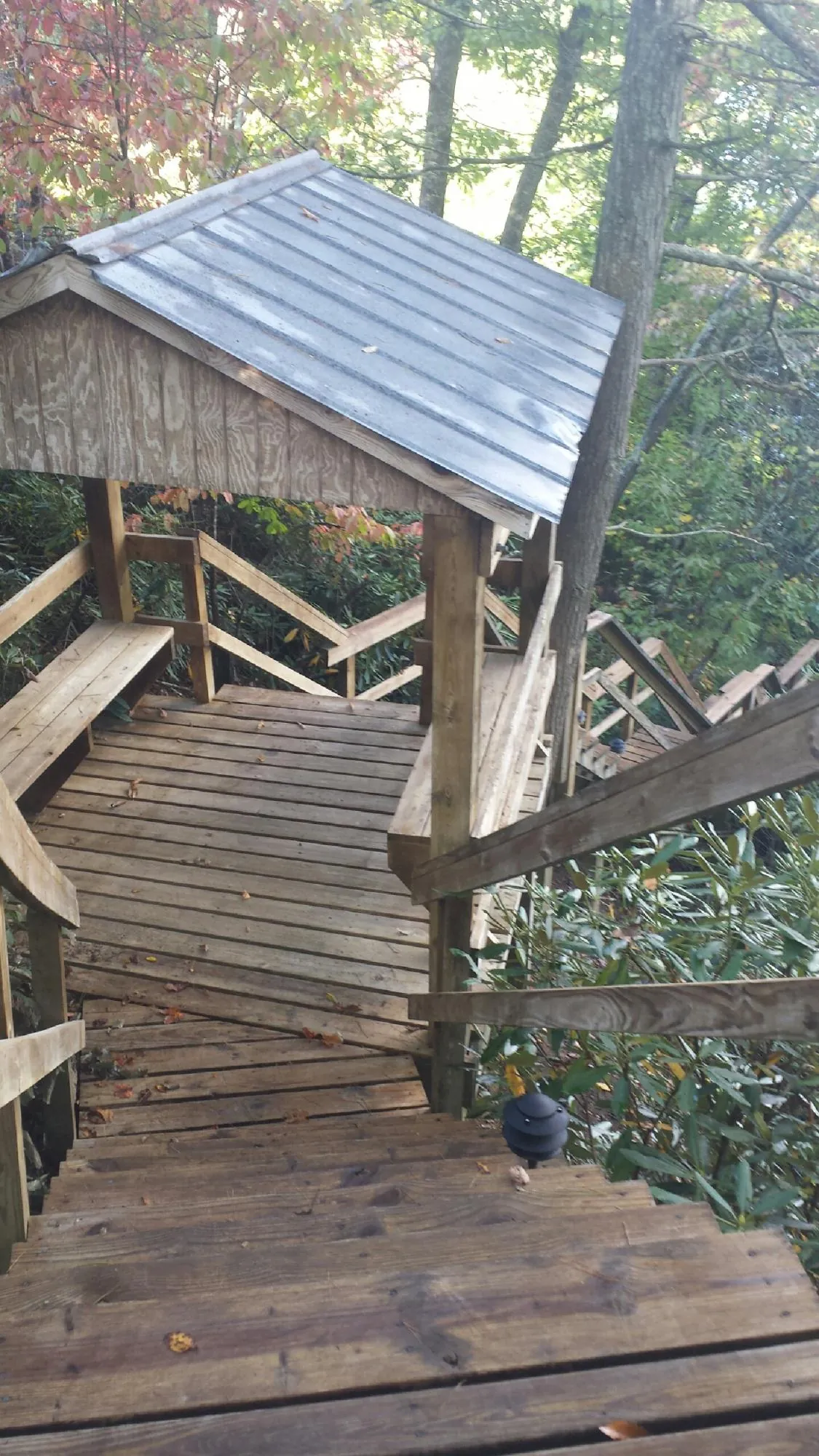 Metal roofed shelter over wooden steps on a wooded walkway — Skylight Repair & Installation work by our crew in Grants Pass